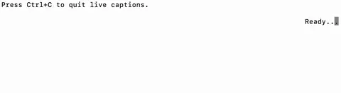 Live Captions in the Console
